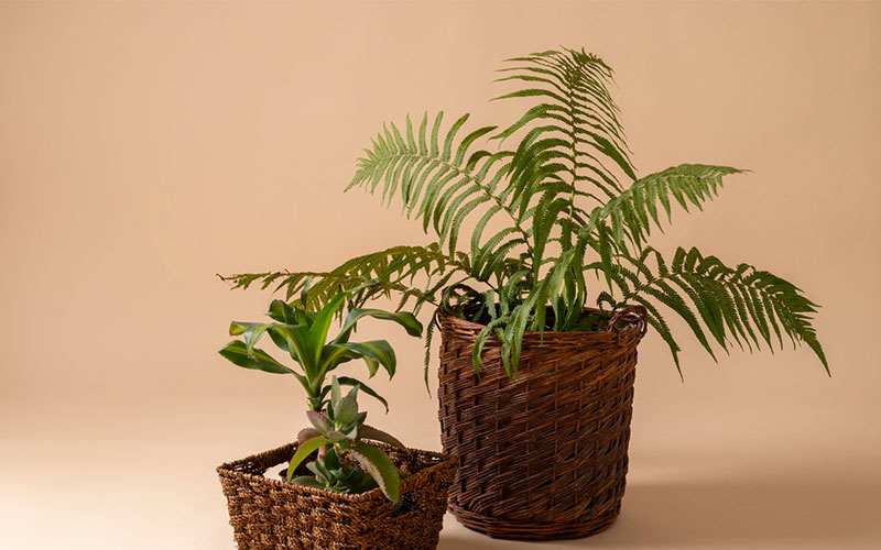 Tanaman hias artificial Jakarta