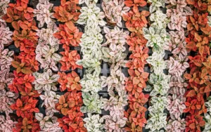 Jasa Vertical Garden Artificial Jakarta