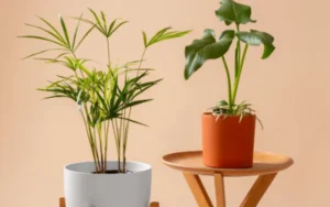 Spesialis Tanaman Artificial Jakarta
